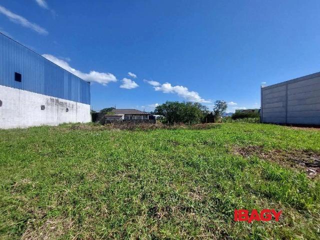 Terreno comercial para Locação em Palhoça/SC Aririu