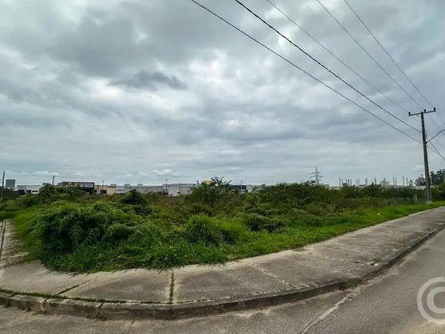 Terreno comercial para Locação em Palhoça/SC Pachecos