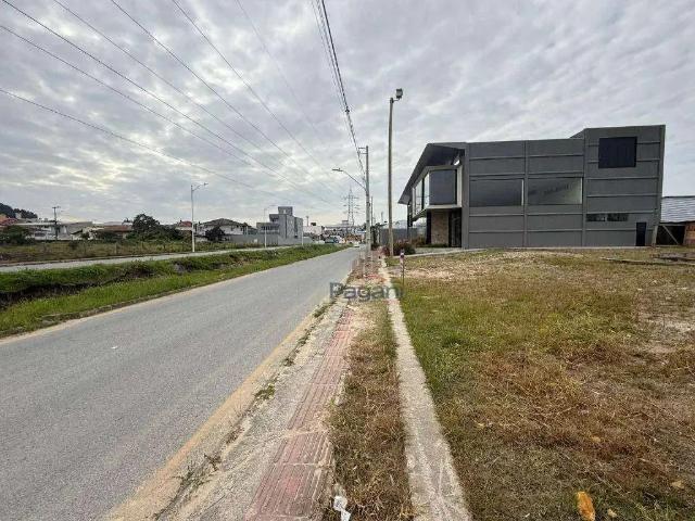 Terreno comercial para Locação em Palhoça/SC Pagani