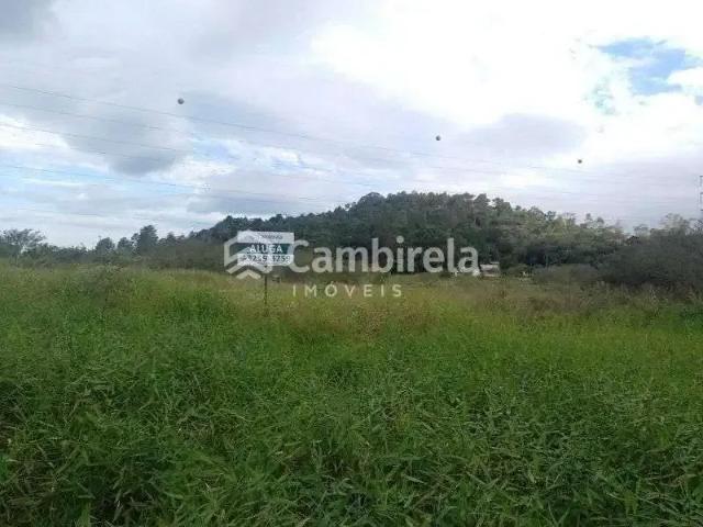Terreno comercial para Locação em Palhoça/SC Cidade Universitária Pedra Branca