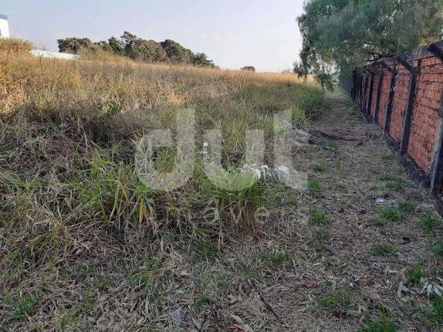 Terreno comercial para Locação em Paulínia/SP Betel