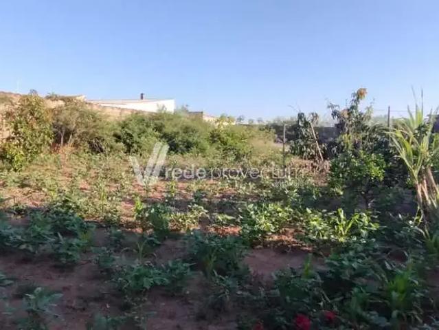 Terreno comercial para Locação em Paulínia/SP Parque Bom Retiro