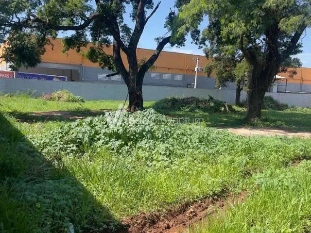 Terreno comercial para Locação em Paulínia/SP Santa Terezinha