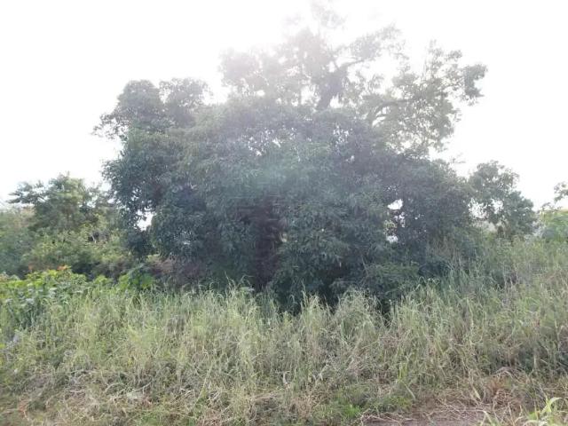 Terreno comercial para Locação em Pelotas/RS Centro