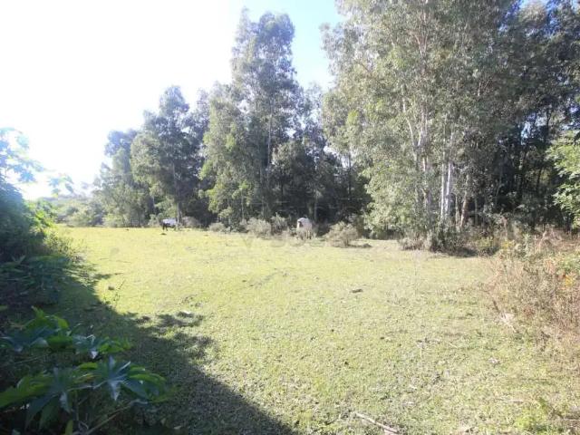 Terreno comercial para Locação em Pelotas/RS Fragata