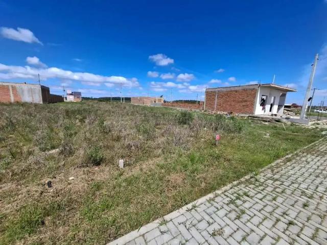 Terreno comercial para Locação em Pelotas/RS Três Vendas