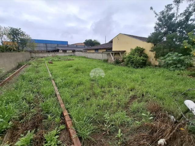 Terreno comercial para Locação em Pinhais/PR Emiliano Perneta