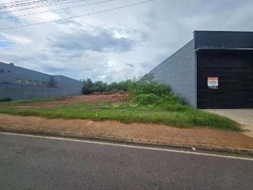 Terreno comercial para Locação em Piracicaba/SP Jardim Algodoal