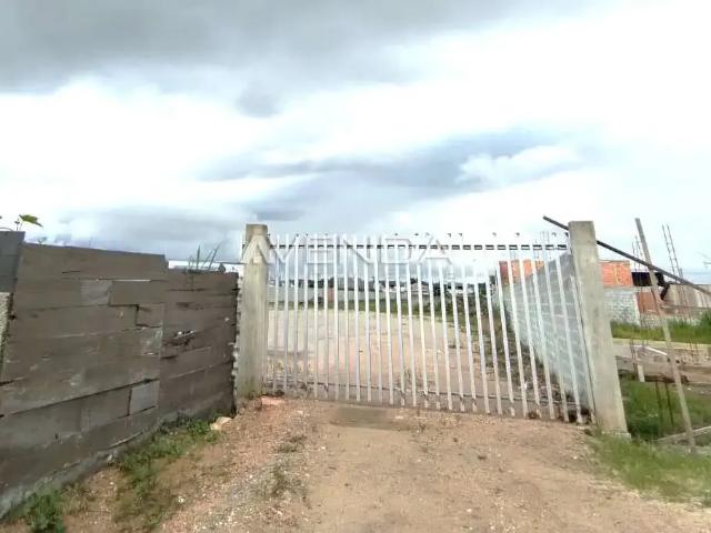 Terreno comercial para Locação em Piraquara/PR Guarituba