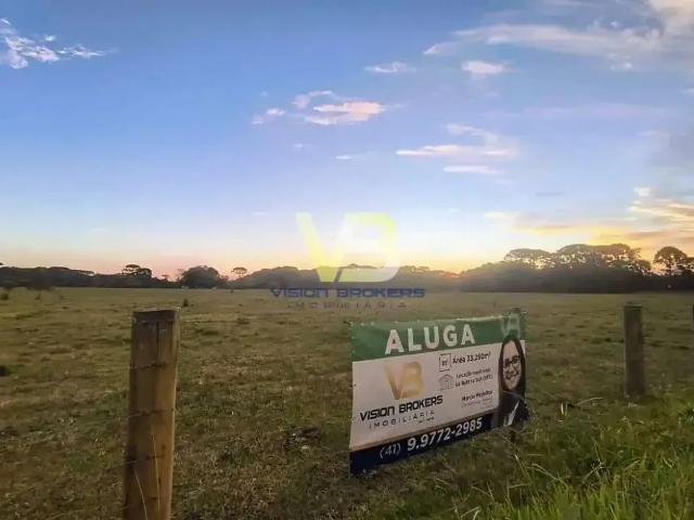 Terreno comercial para Locação em Piraquara/PR Guarituba