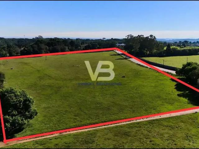 Terreno comercial para Locação em Piraquara/PR Guarituba