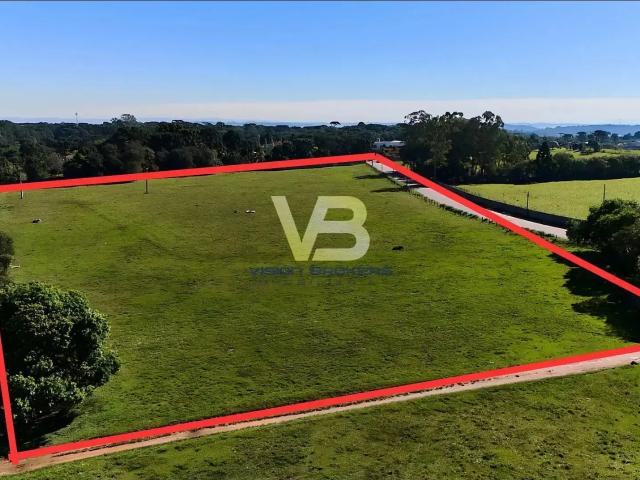 Terreno comercial para Locação em Piraquara/PR Guarituba
