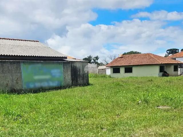 Terreno comercial para Locação em Piraquara/PR Guarituba