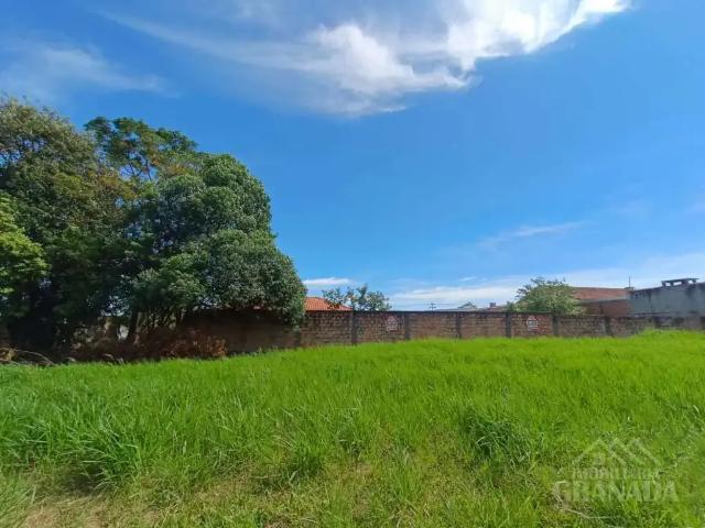 Terreno comercial para Locação em Ponta Grossa/PR Uvaranas