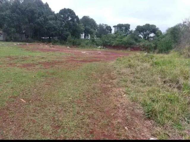 Terreno comercial para Locação em Ponta Grossa/PR Cará cará