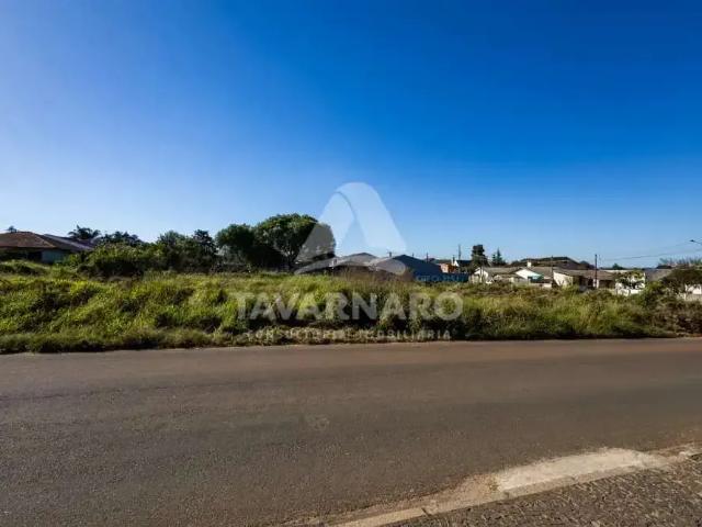 Terreno comercial para Locação em Ponta Grossa/PR Cará cará