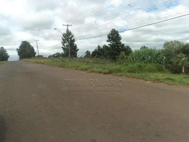 Terreno comercial para Locação em Ponta Grossa/PR Cará cará