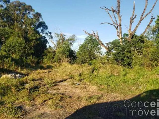 Terreno comercial para Locação em Ponta Grossa/PR Chapada