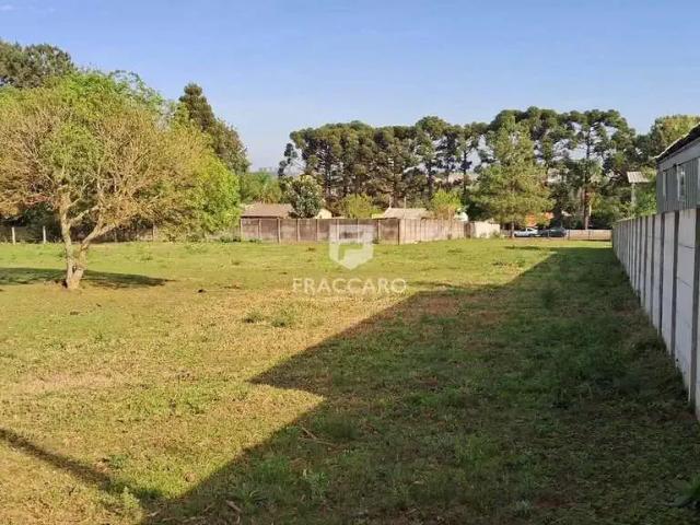Terreno comercial para Locação em Ponta Grossa/PR Colônia Dona LuÍza