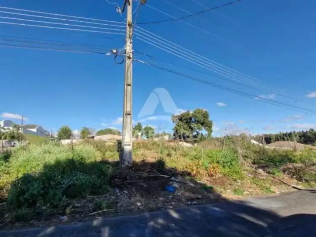 Terreno comercial para Locação em Ponta Grossa/PR Colônia Dona LuÍza