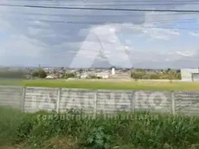 Terreno comercial para Locação em Ponta Grossa/PR Jardim Carvalho