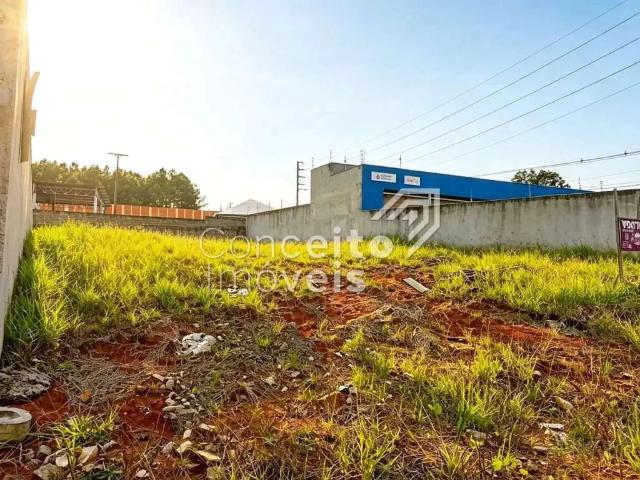 Terreno comercial para Locação em Ponta Grossa/PR Jardim Carvalho