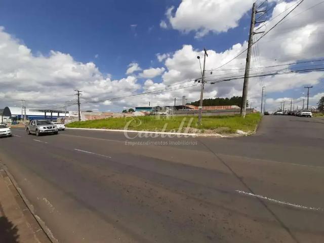 Terreno comercial para Locação em Ponta Grossa/PR Jardim Carvalho
