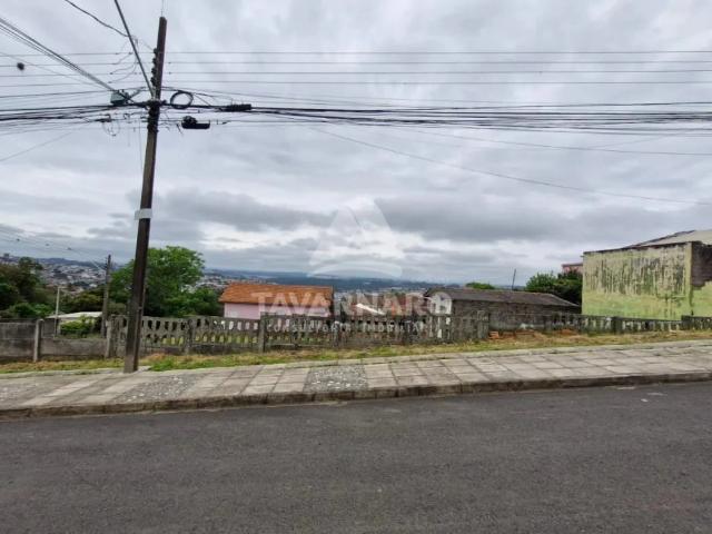 Terreno comercial para Locação em Ponta Grossa/PR Nova Rússia