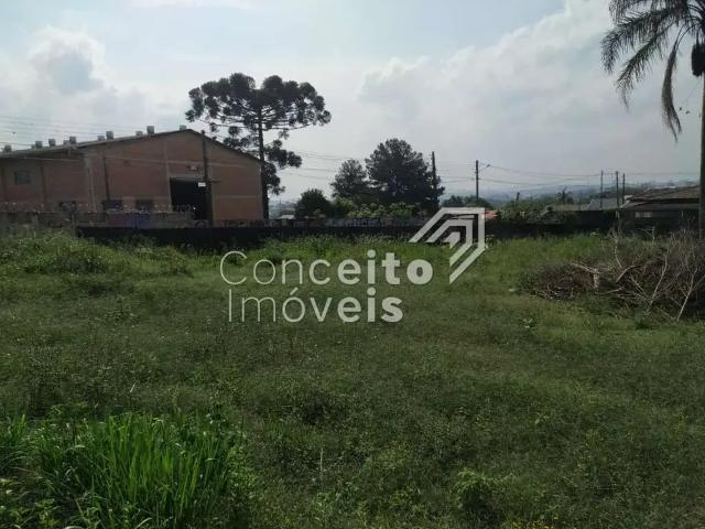 Terreno comercial para Locação em Ponta Grossa/PR Oficinas