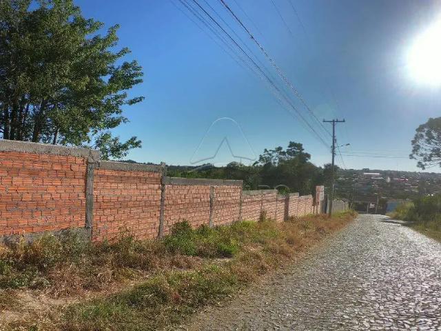 Terreno comercial para Locação em Ponta Grossa/PR Ronda