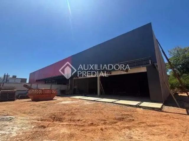 Terreno comercial para Locação em Porto Alegre/RS Tristeza