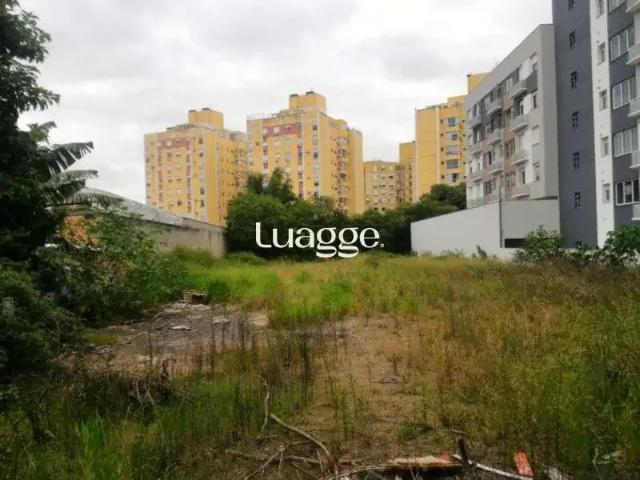 Terreno comercial para Locação em Porto Alegre/RS Camaquã