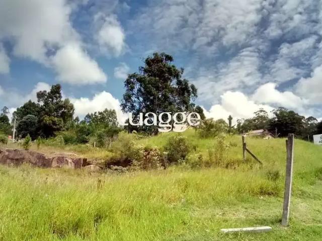 Terreno comercial para Locação em Porto Alegre/RS Hípica