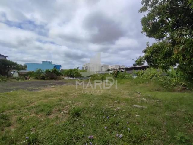 Terreno comercial para Locação em Porto Alegre/RS Hípica