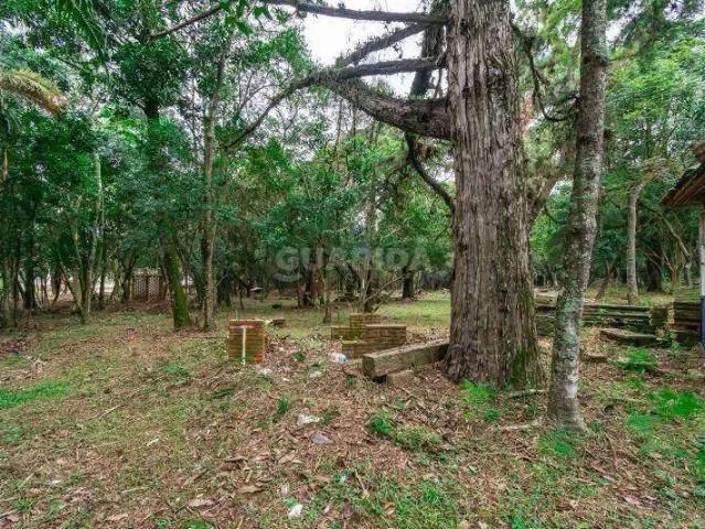 Terreno comercial para Locação em Porto Alegre/RS Ipanema
