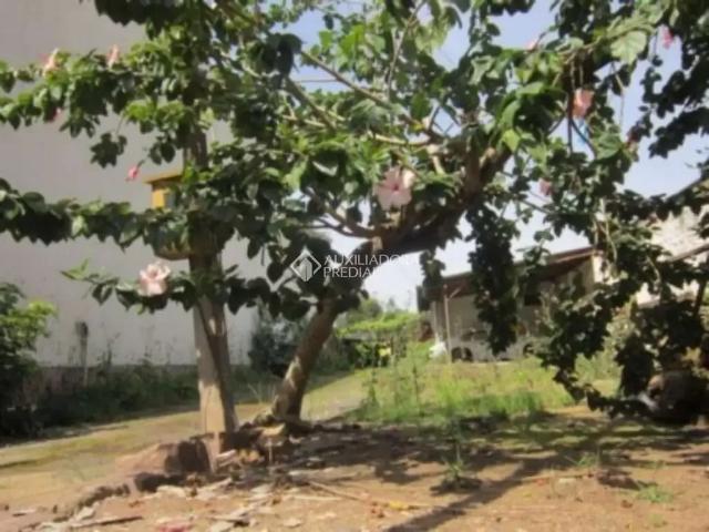 Terreno comercial para Locação em Porto Alegre/RS Menino Deus