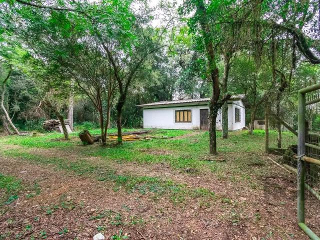 Terreno comercial para Locação em Porto Alegre/RS Pedra Redonda