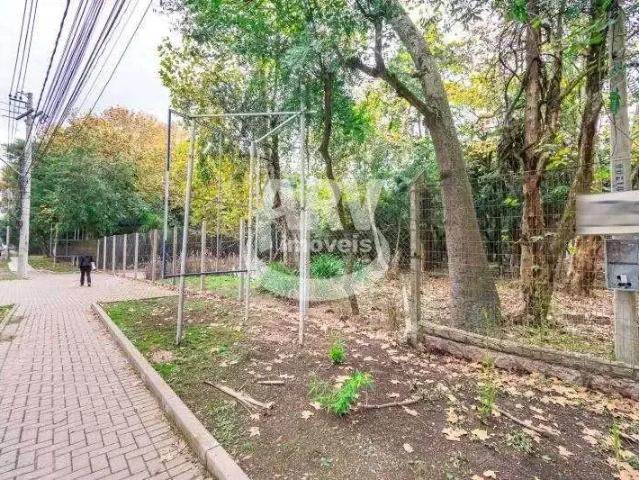 Terreno comercial para Locação em Porto Alegre/RS Pedra Redonda