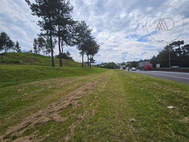 Terreno comercial para Locação em Quatro Barras/PR Colônia Maria José