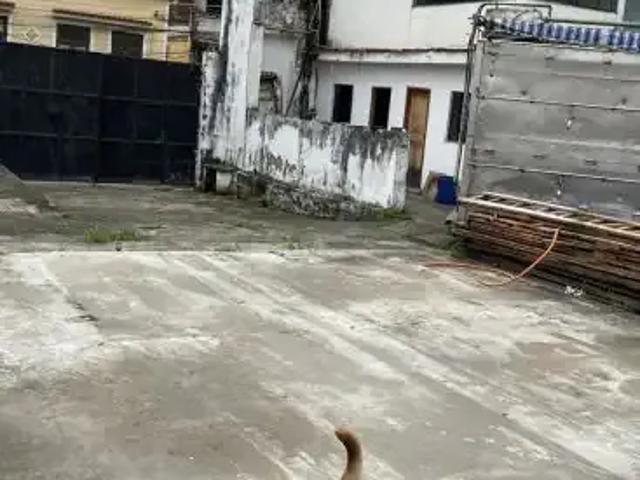 Terreno comercial para Locação em Rio de Janeiro/RJ Santo Cristo
