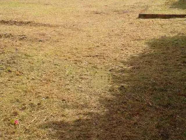 Terreno comercial para Locação em Ribeirão Preto/SP Nova Ribeirânia
