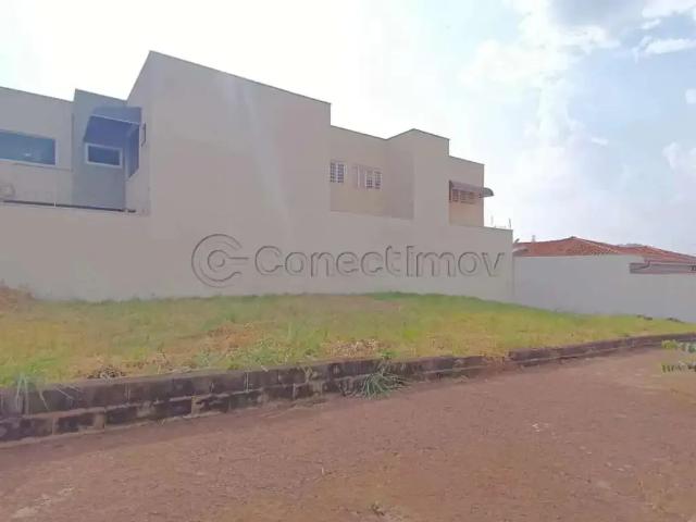 Terreno comercial para Locação em Ribeirão Preto/SP Nova Ribeirânia