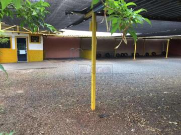 Terreno comercial para Locação em Ribeirão Preto/SP Nova Ribeirânia 1 Quartos