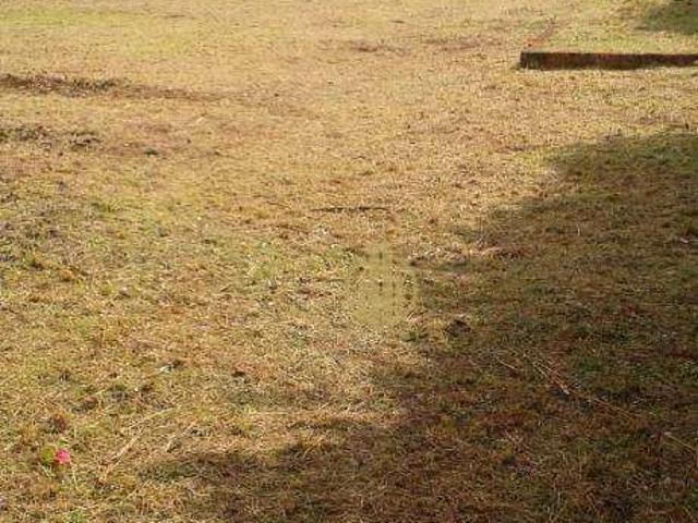 Terreno comercial para Locação em Ribeirão Preto/SP Nova Ribeirânia