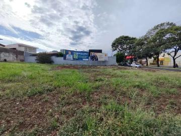 Terreno comercial para Locação em Ribeirão Preto/SP Alto da Boa Vista