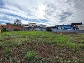 Terreno comercial para Locação em Ribeirão Preto/SP Alto da Boa Vista