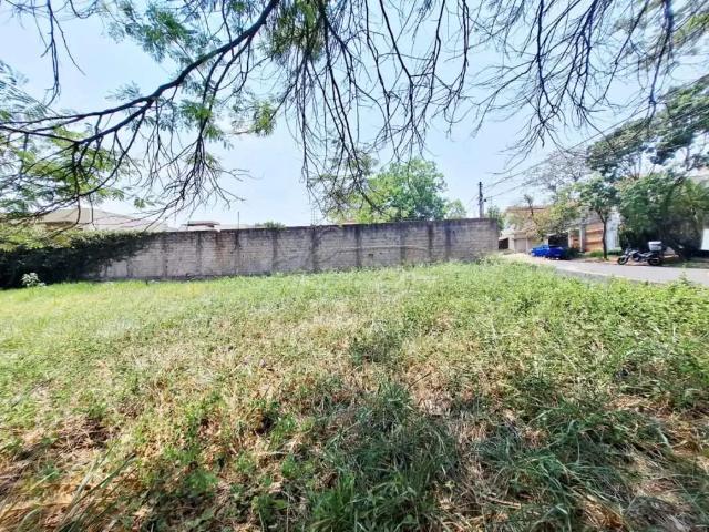 Terreno comercial para Locação em Ribeirão Preto/SP Alto da Boa Vista