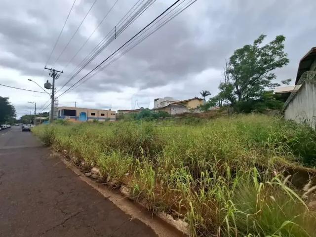 Terreno comercial para Locação em Ribeirão Preto/SP City Ribeirão