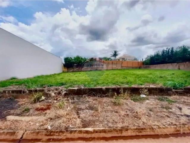 Terreno comercial para Locação em Ribeirão Preto/SP City Ribeirão