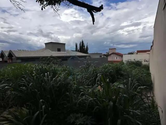 Terreno comercial para Locação em Ribeirão Preto/SP City Ribeirão